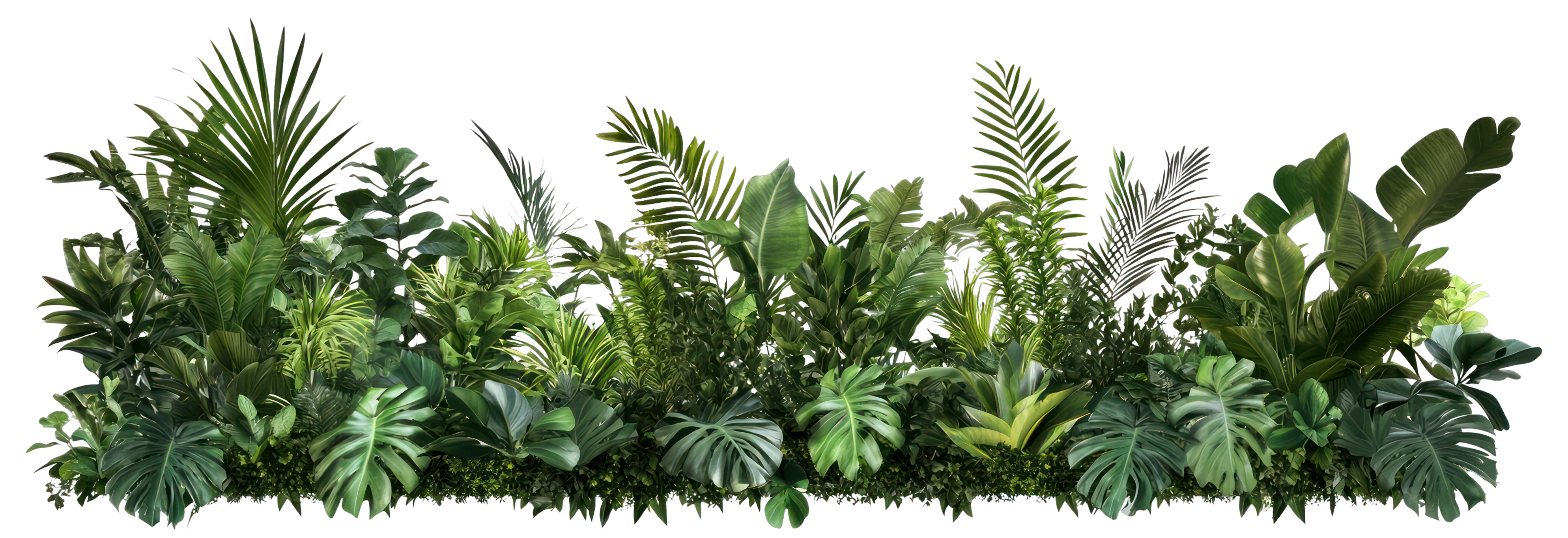 Plants Background