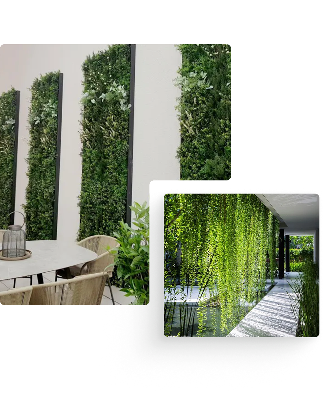 About Greener